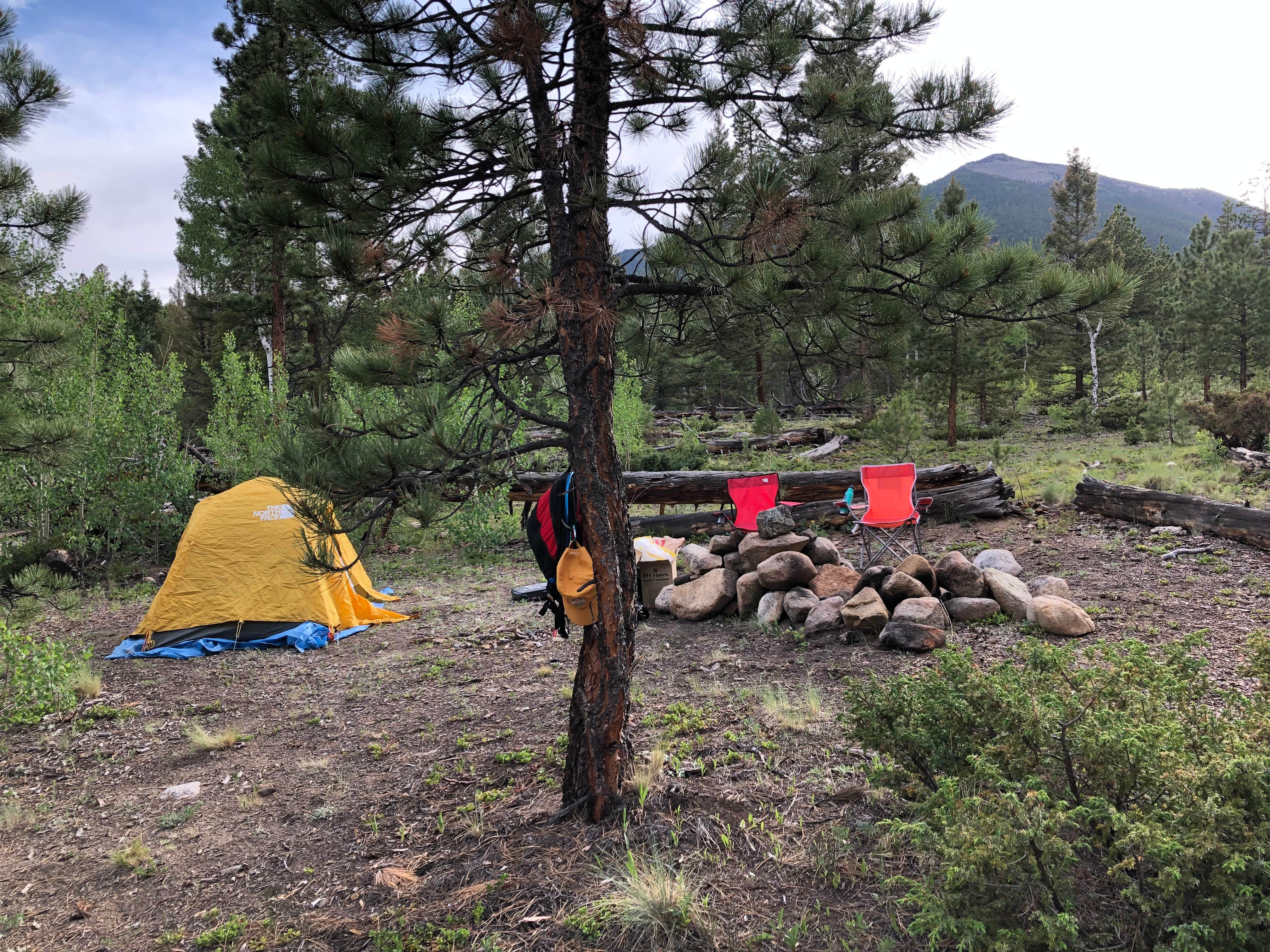 Joshua D.'s photo of tent camping at Browns Creek (South) Dispersed Camping near Howard, CO
