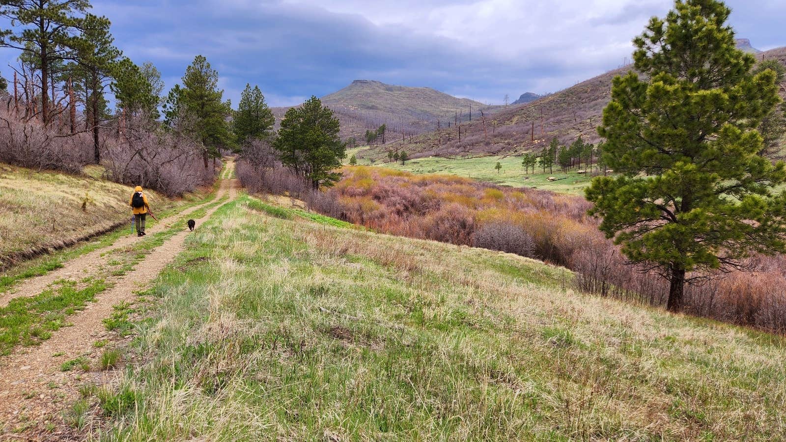 Fred S.'s photo of camping with pets at Soda Pocket Campground — Sugarite Canyon State Park near Capulin, NM