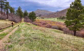 Fred S.'s photo of camping with pets at Soda Pocket Campground — Sugarite Canyon State Park near Capulin, NM