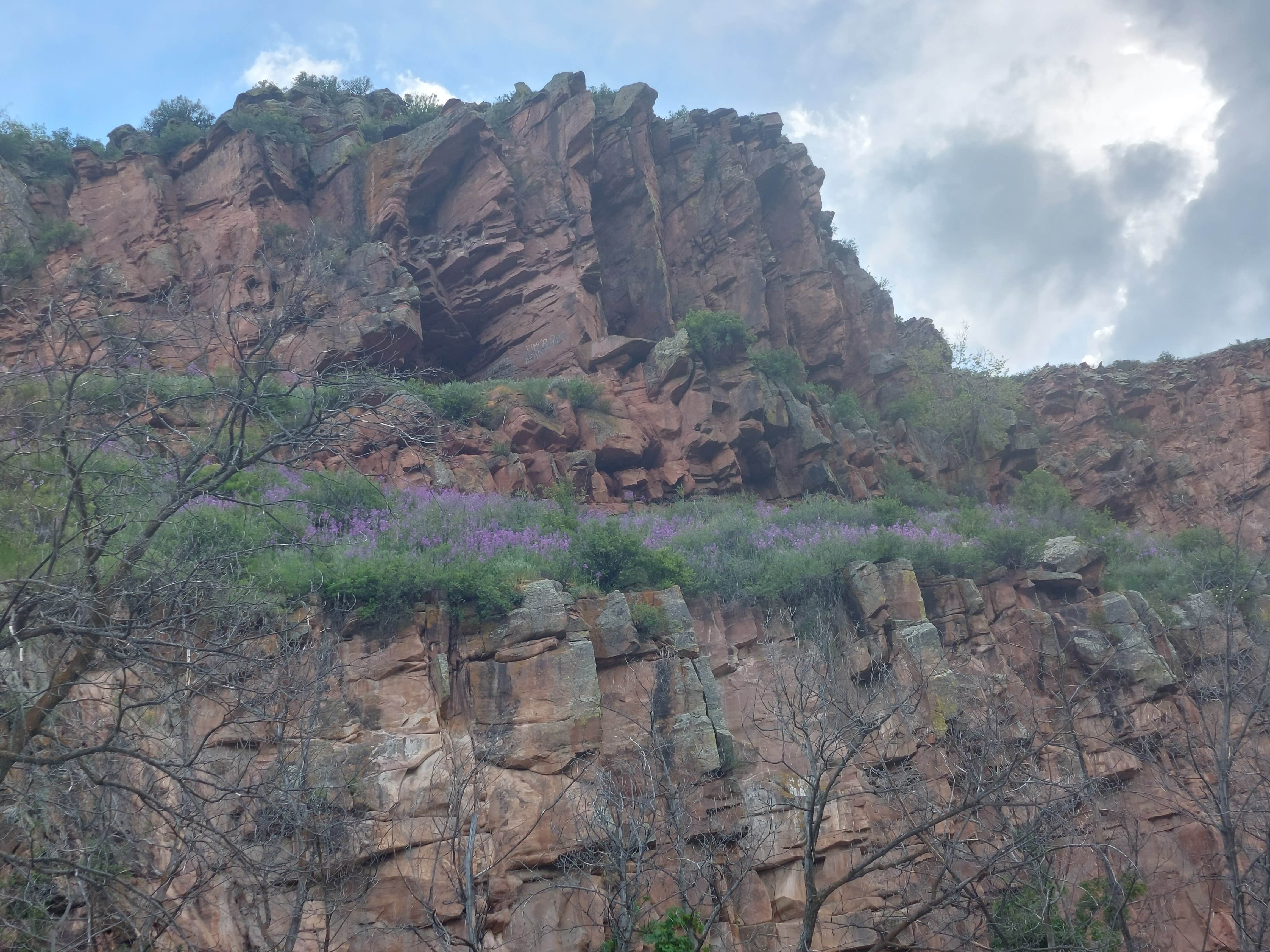 Camper-submitted photo at LaVern M. Johnson Park near Longmont, CO