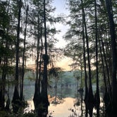 Review photo of Caddo Lake State Park Campground by Mitchell N., June 1, 2023