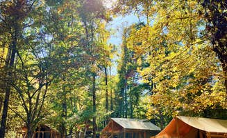 Ben C.'s photo at Wilderness Cove Campground | Outdoor Adventure Retreats near Landrum, SC