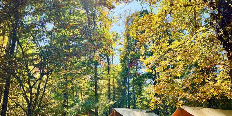 Camper submitted image from Wilderness Cove Campground | Outdoor Adventure Retreats