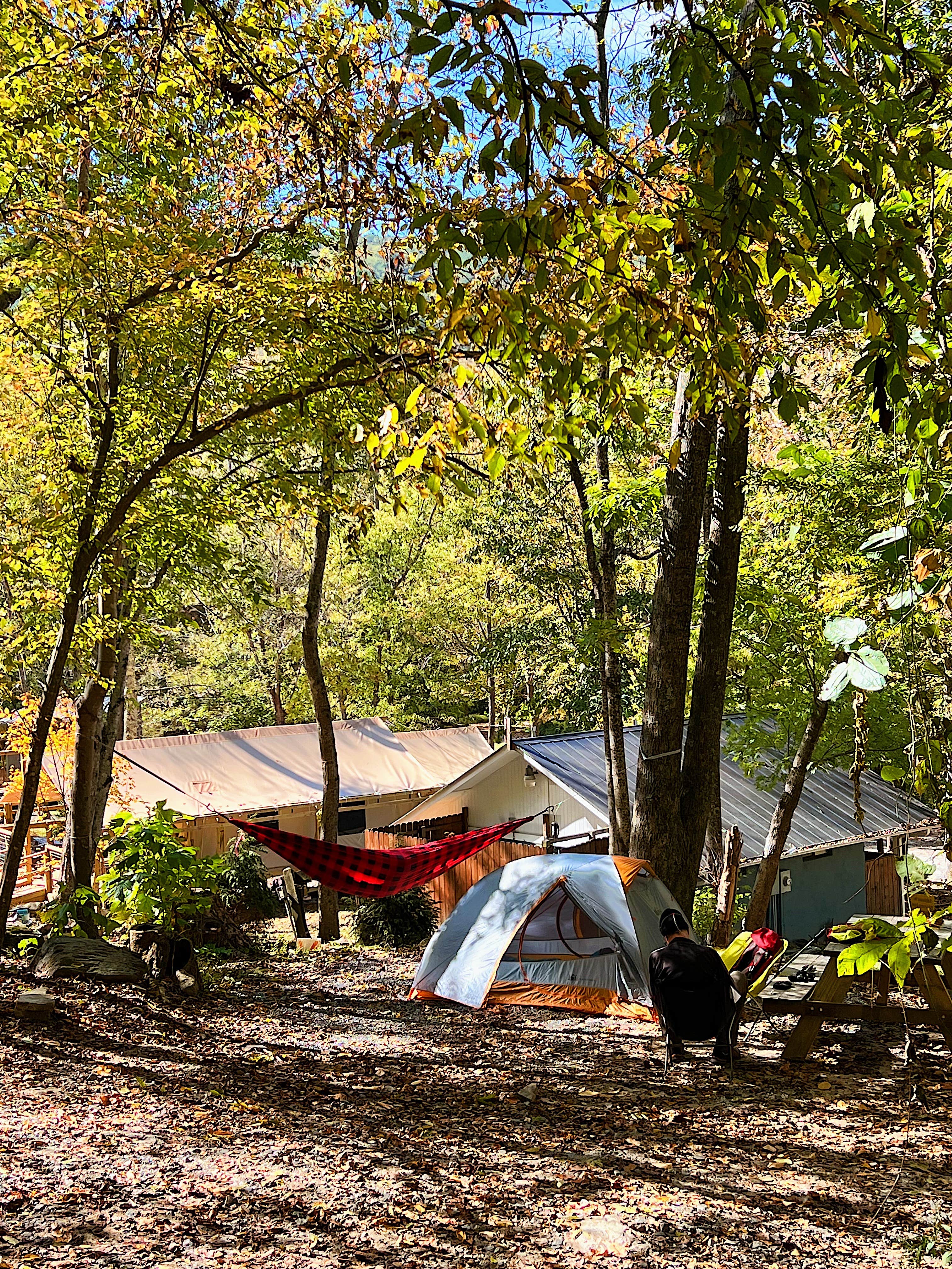 Ben C.'s photo of tent camping at Wilderness Cove Campground | Outdoor Adventure Retreats near Horse Shoe, NC