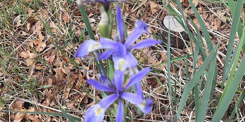 Camper submitted image from Oak Grove Campground