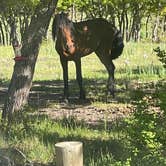 Review photo of Oak Grove Campground by Butch K., June 1, 2023