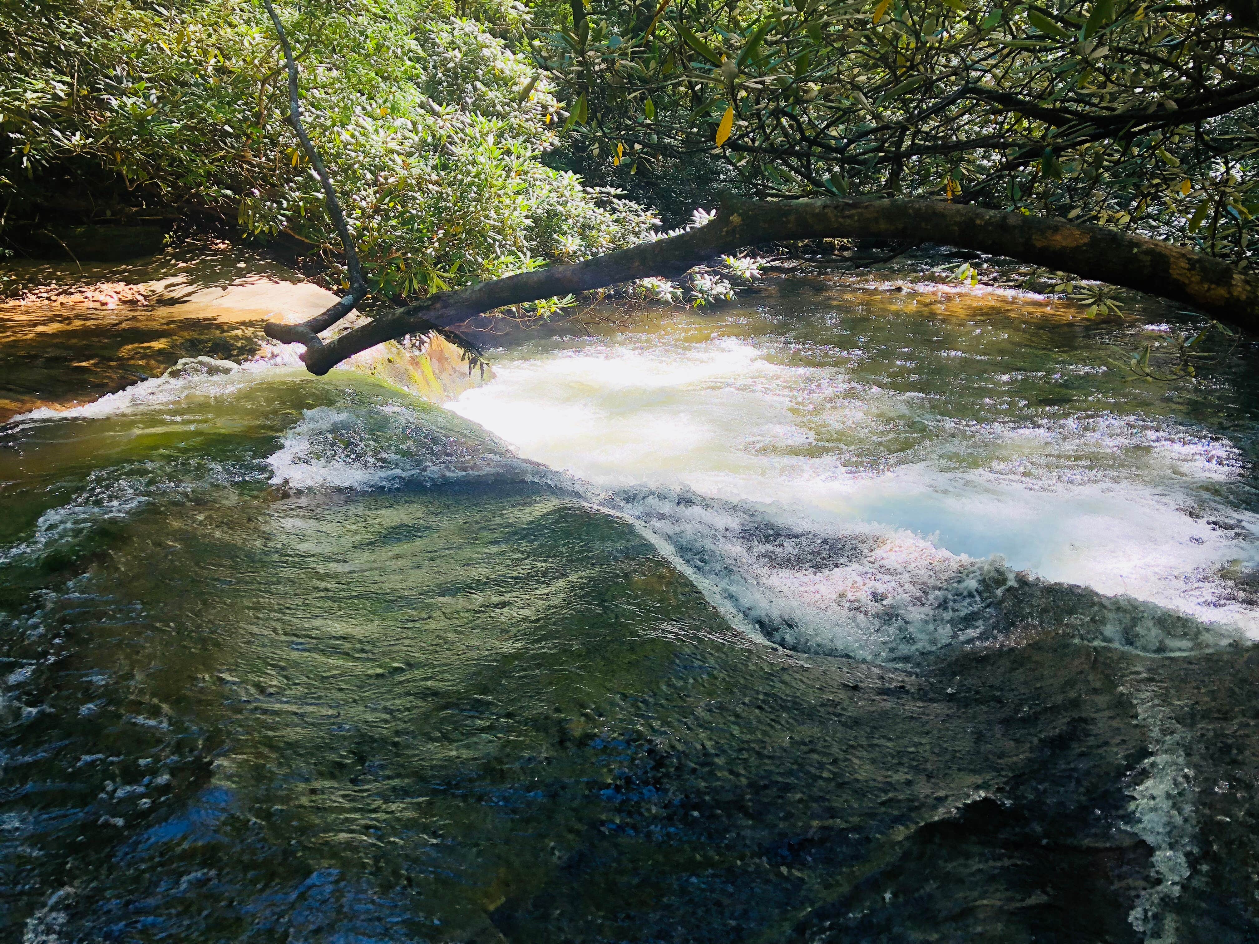 Camper-submitted photo at Asbury Hills Summer Camps near Slater, SC