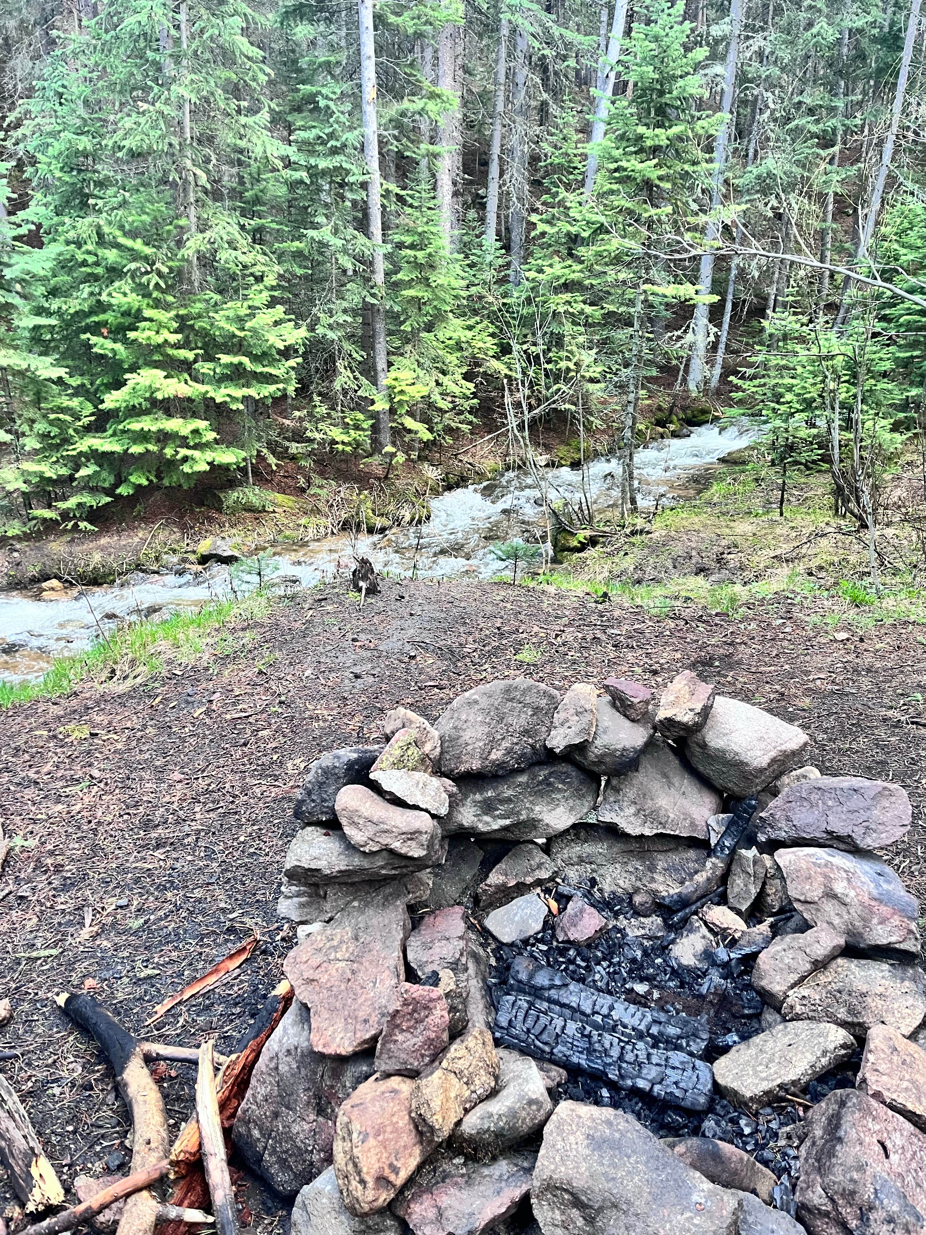 Camper submitted image from Allenspark Dispersed Camping - 3