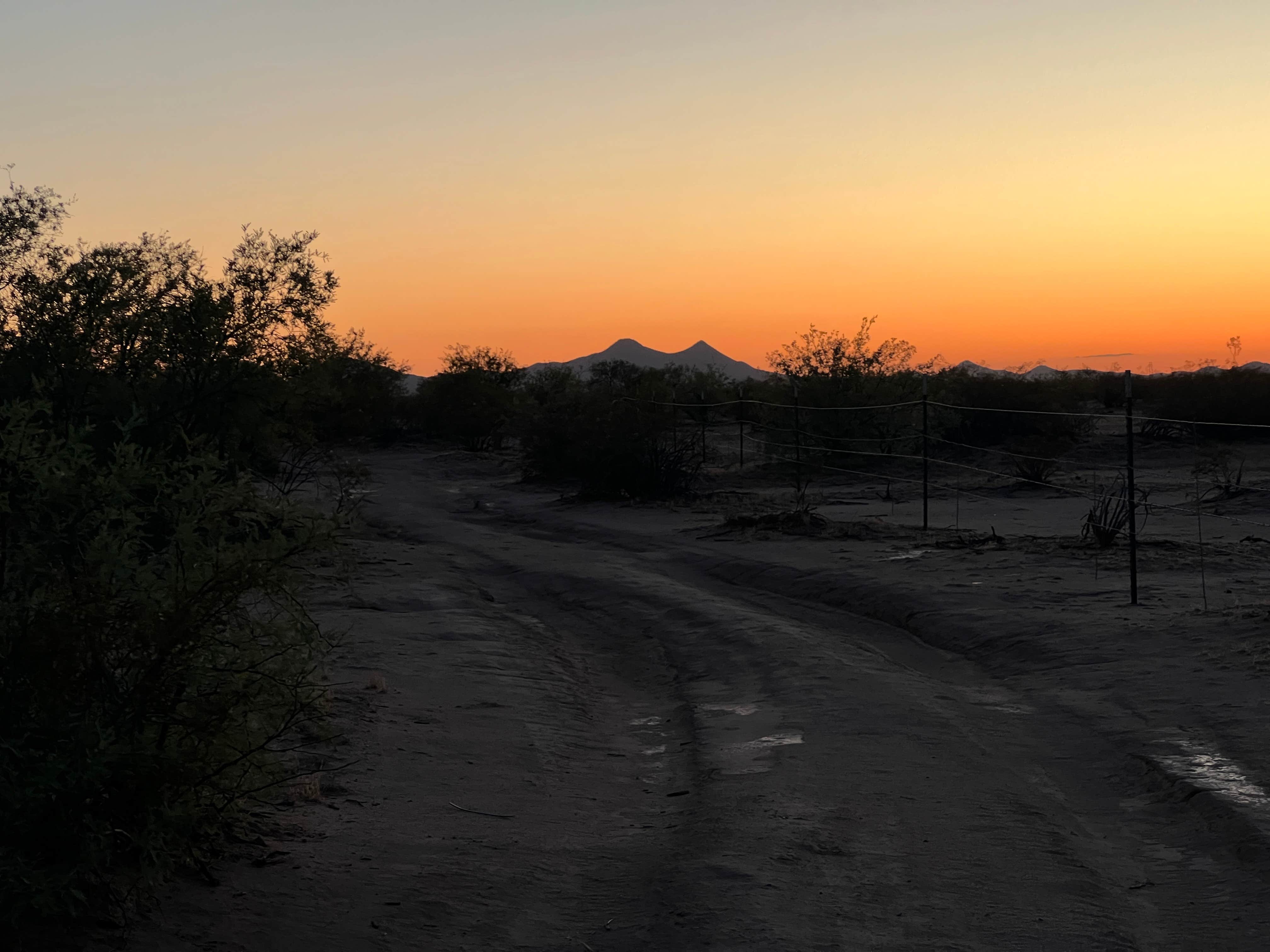 Samuel J.'s photo of a dispersed camping area at BLM Ironwood Forest National Monument - Reservation Road Dispersed Camping near Topawa, AZ