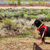 Review photo of Eagle Nest Lake State Park Campground by Fred S., June 1, 2023