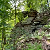 Review photo of Rocky Arbor State Park by Lauren J., June 1, 2023