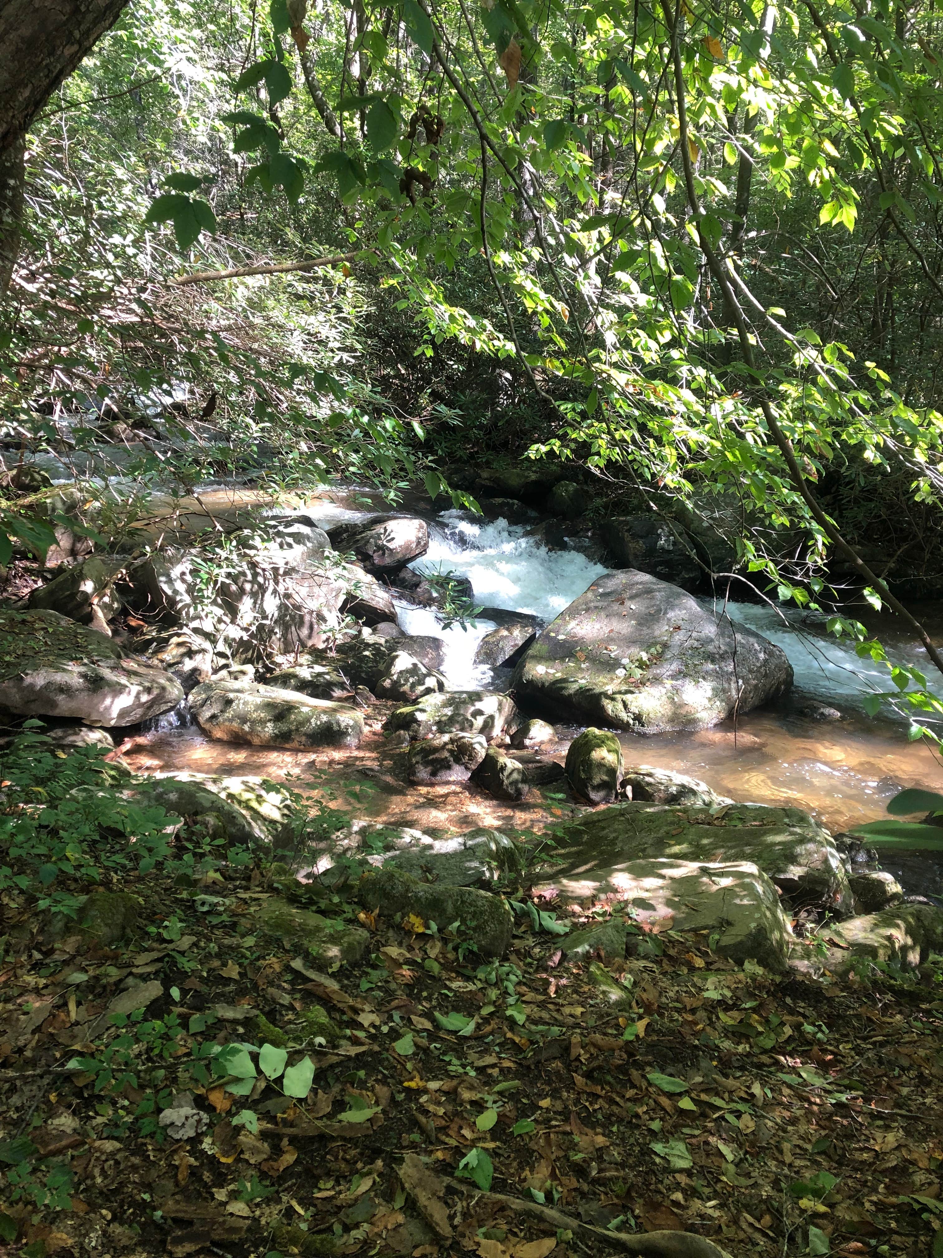 Camper-submitted photo at Asbury Hills Summer Camps near Slater, SC