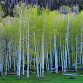 Review photo of Manti-LaSal National Forest Buckboard Campground by Fred S., June 1, 2023