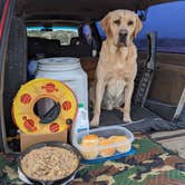 Review photo of Sage Creek Campground by Daniel H., June 1, 2023