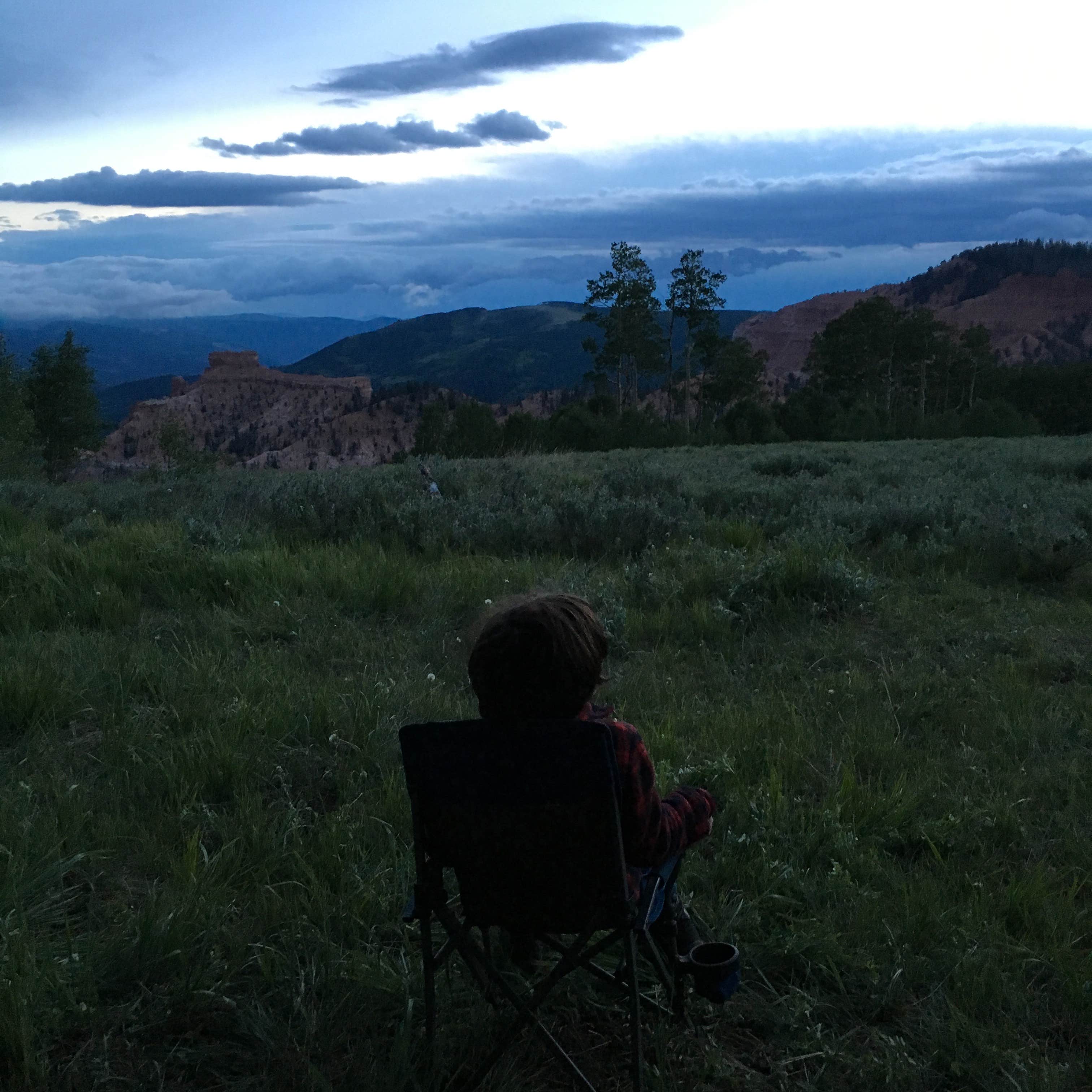 Stefanie I.'s photo of a dispersed camping area at Bear Flat near Beaver, UT