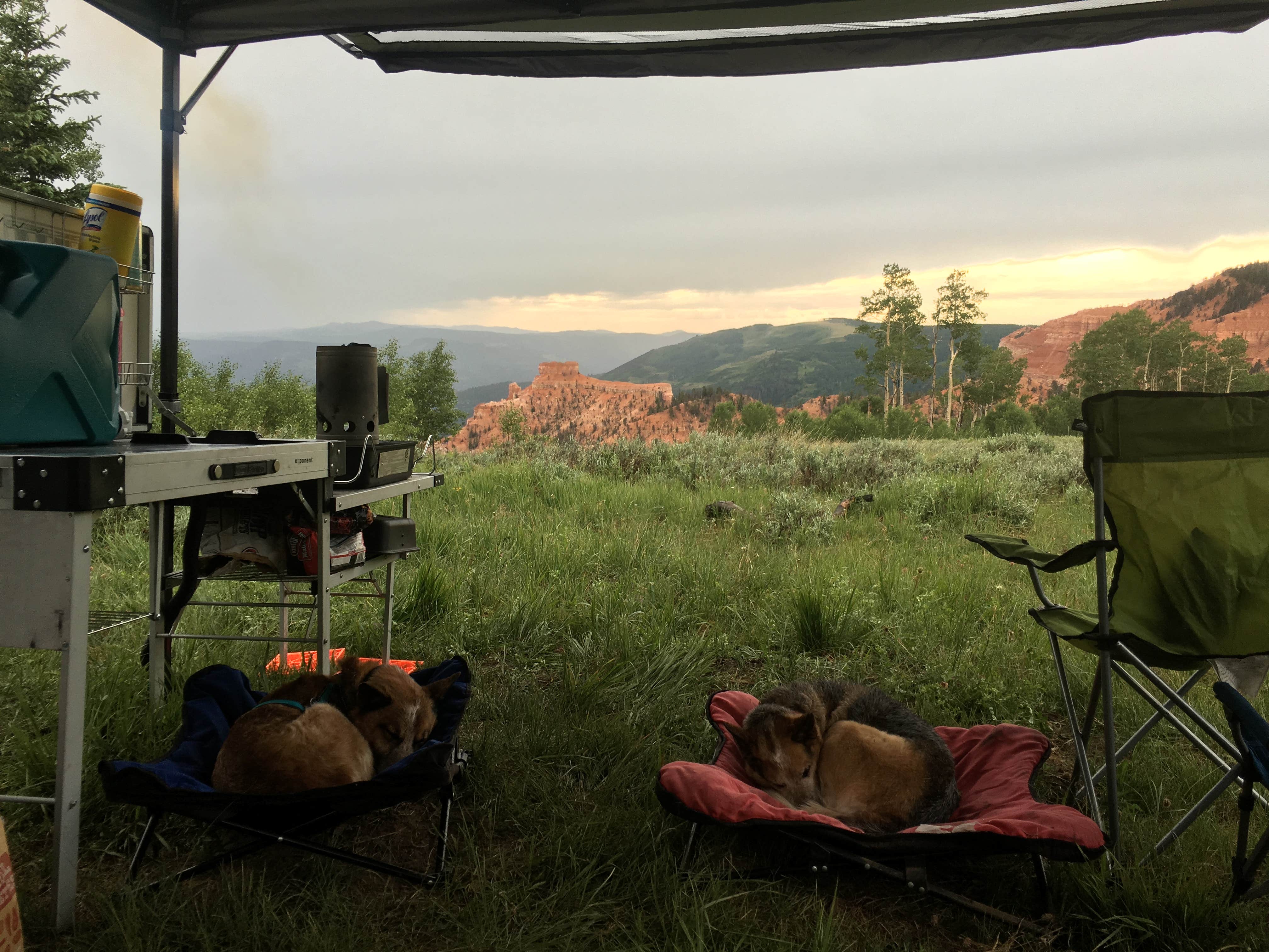 Stefanie I.'s photo at Bear Flat near Parowan, UT