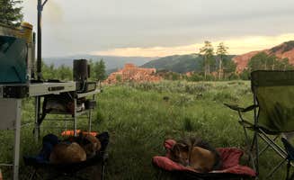 Stefanie I.'s photo at Bear Flat near Parowan, UT