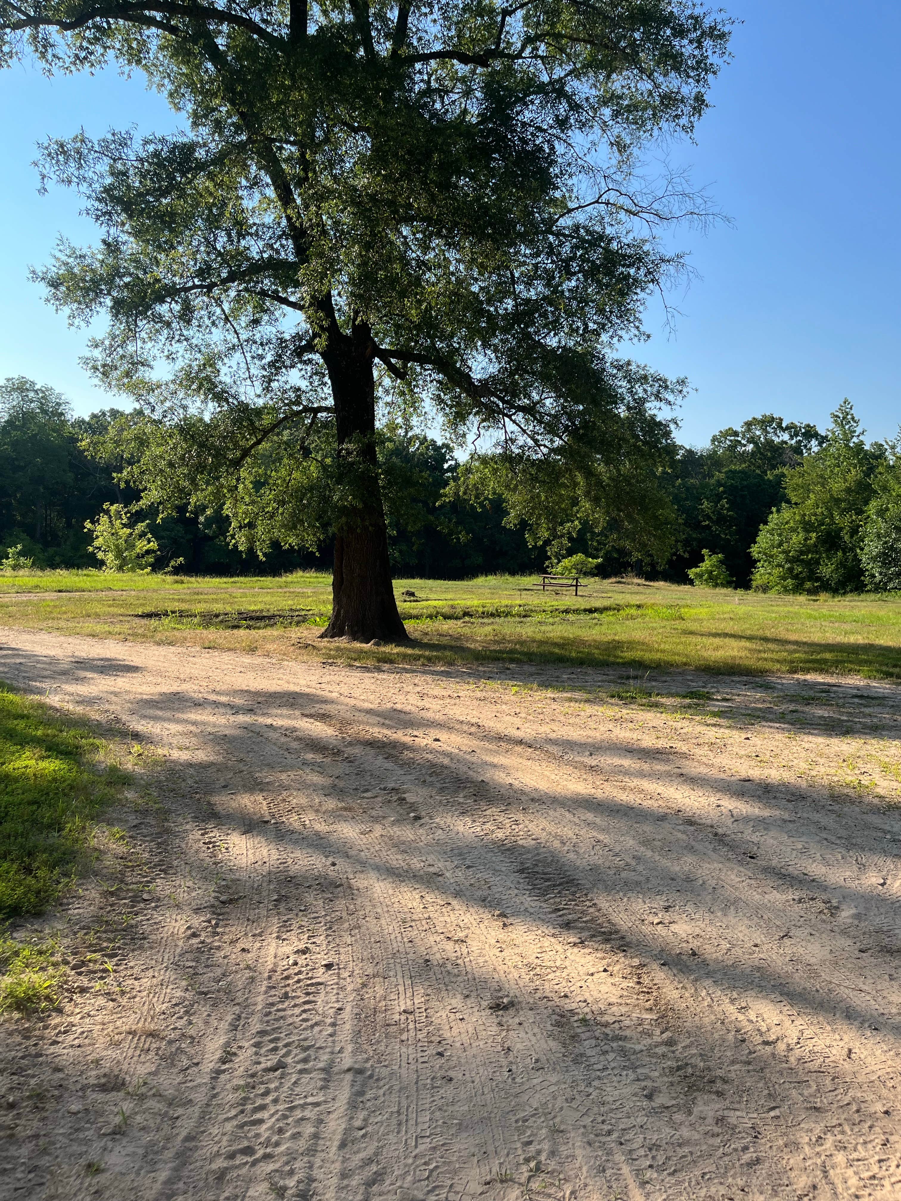 Camper-submitted photo at Thomas Lake Park near Lake O' The Pines
