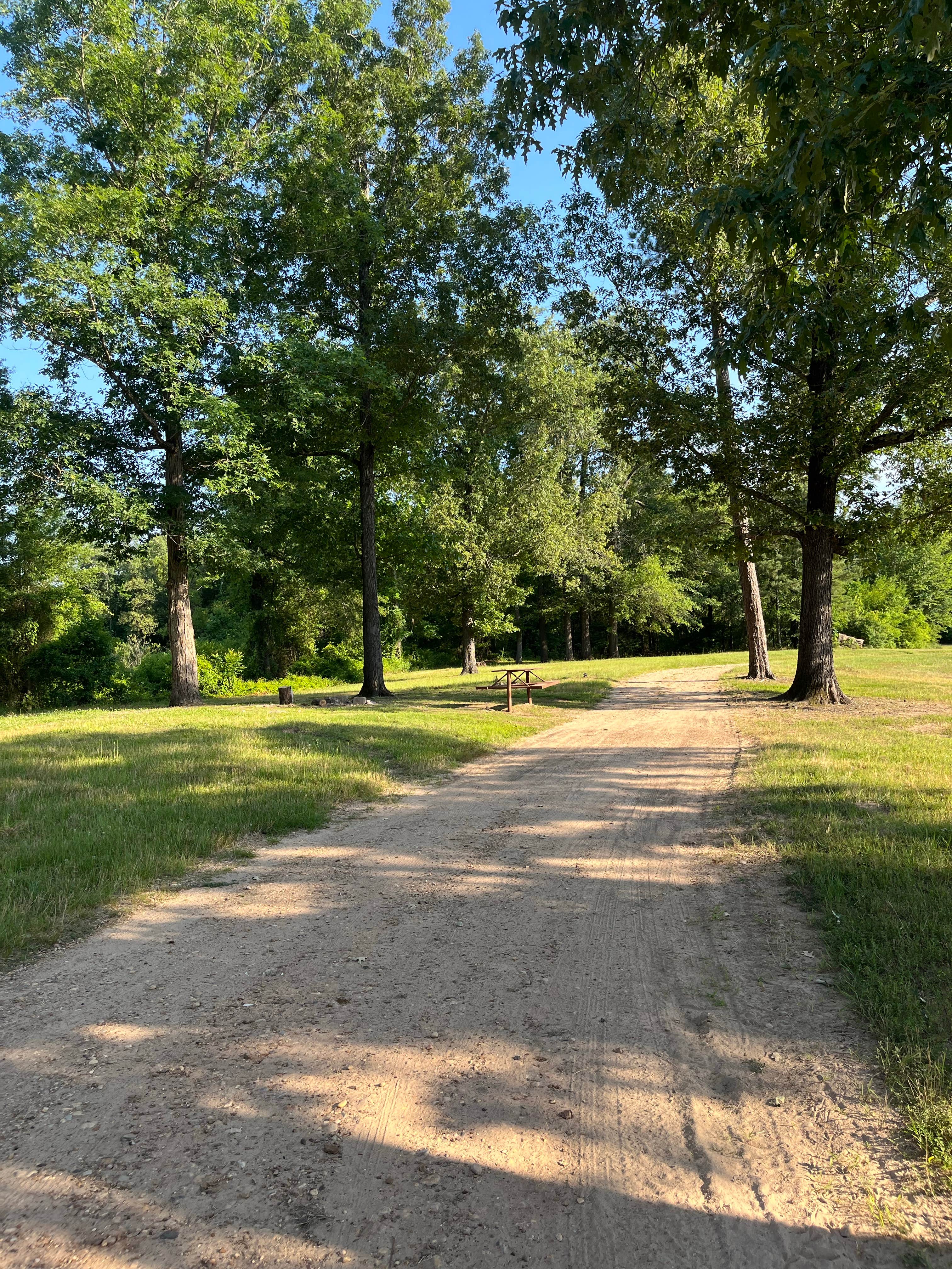 Camper-submitted photo at Thomas Lake Park near Lake O' The Pines