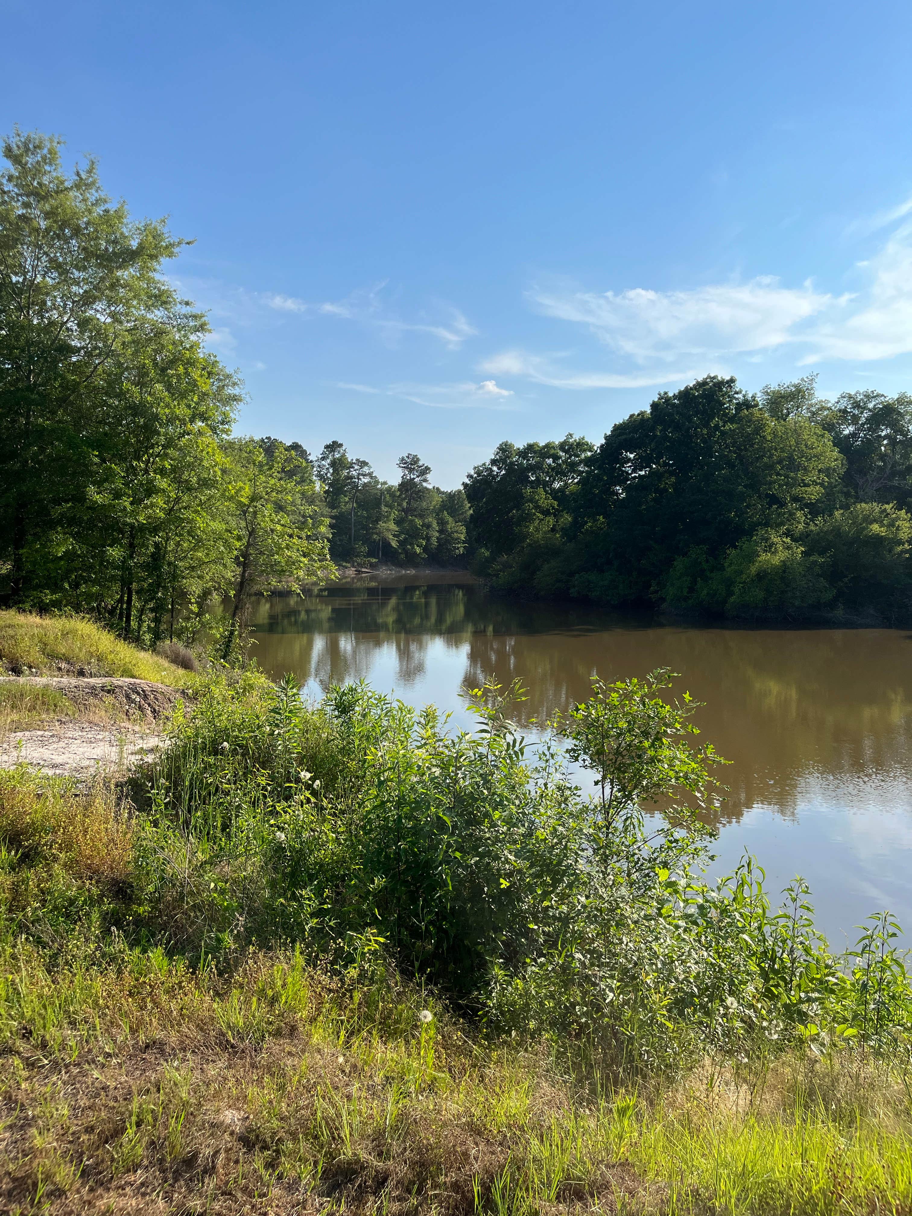 Camper-submitted photo at Thomas Lake Park near Lake O' The Pines