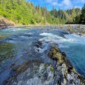 Review photo of Hoh Oxbow Campground by Steve R., June 1, 2023