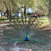 Review photo of Magnolia Park Campground by Nathaniel C., June 1, 2023