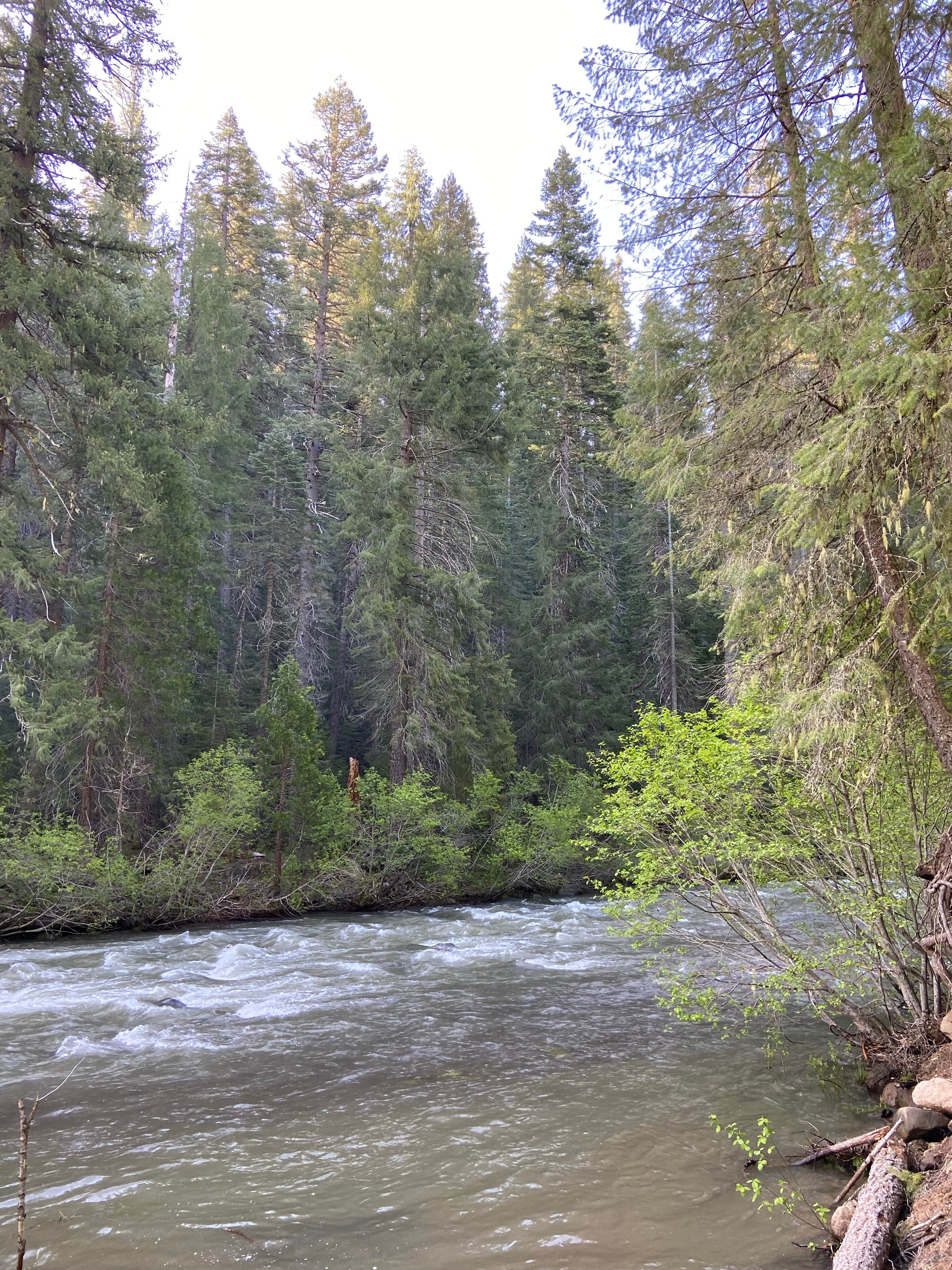 Camping near Battle Creek Campground: Hole-in-the-Ground, Mill Creek, California