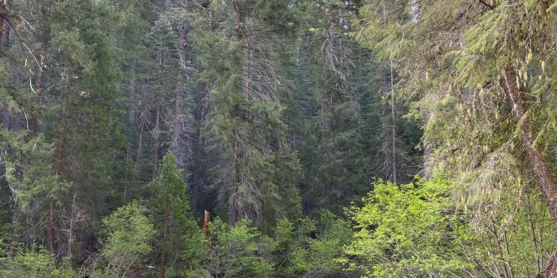 Camper submitted image from Hole-in-the-Ground