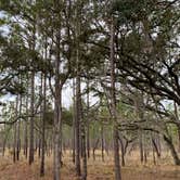 Review photo of Mike Roess Gold Head Branch State Park Campground & Cabins by Stuart K., June 2, 2023