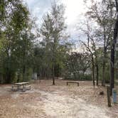 Review photo of Mike Roess Gold Head Branch State Park Campground & Cabins by Stuart K., June 2, 2023