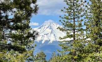 Karin P.'s photo of a dispersed camping area at Castle Lake Dispersed Camping near Castella, CA