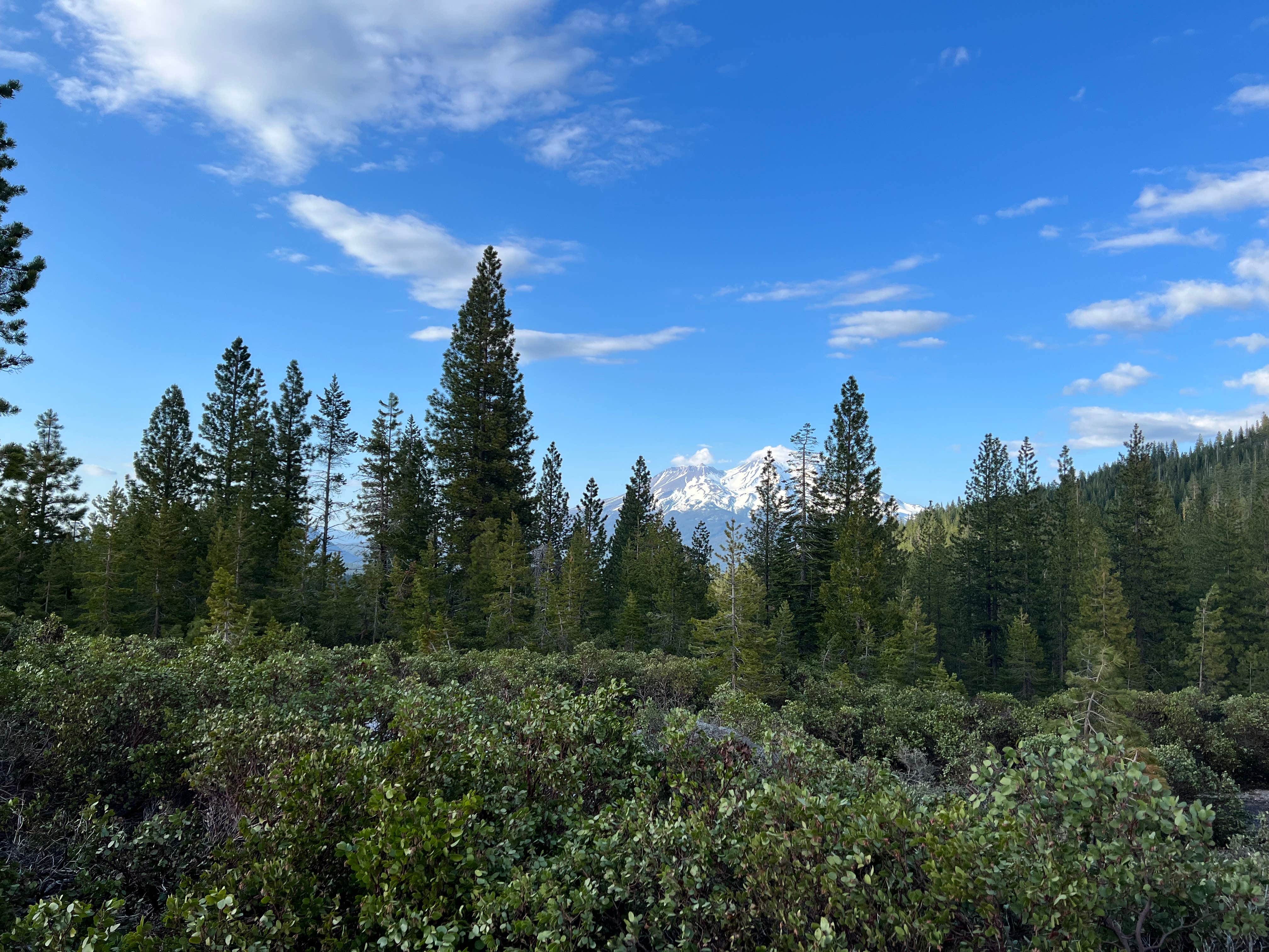 Camper-submitted photo at Castle Lake Dispersed Camping near McCloud, CA