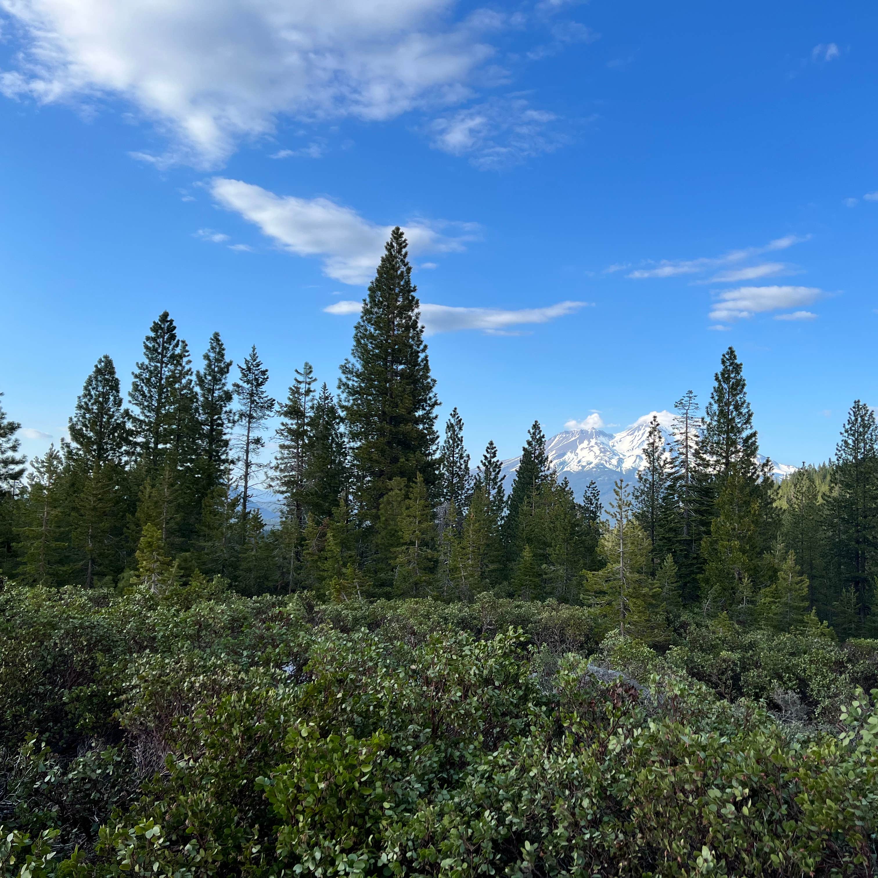 Castle Lake Campground Dunsmuir, CA
