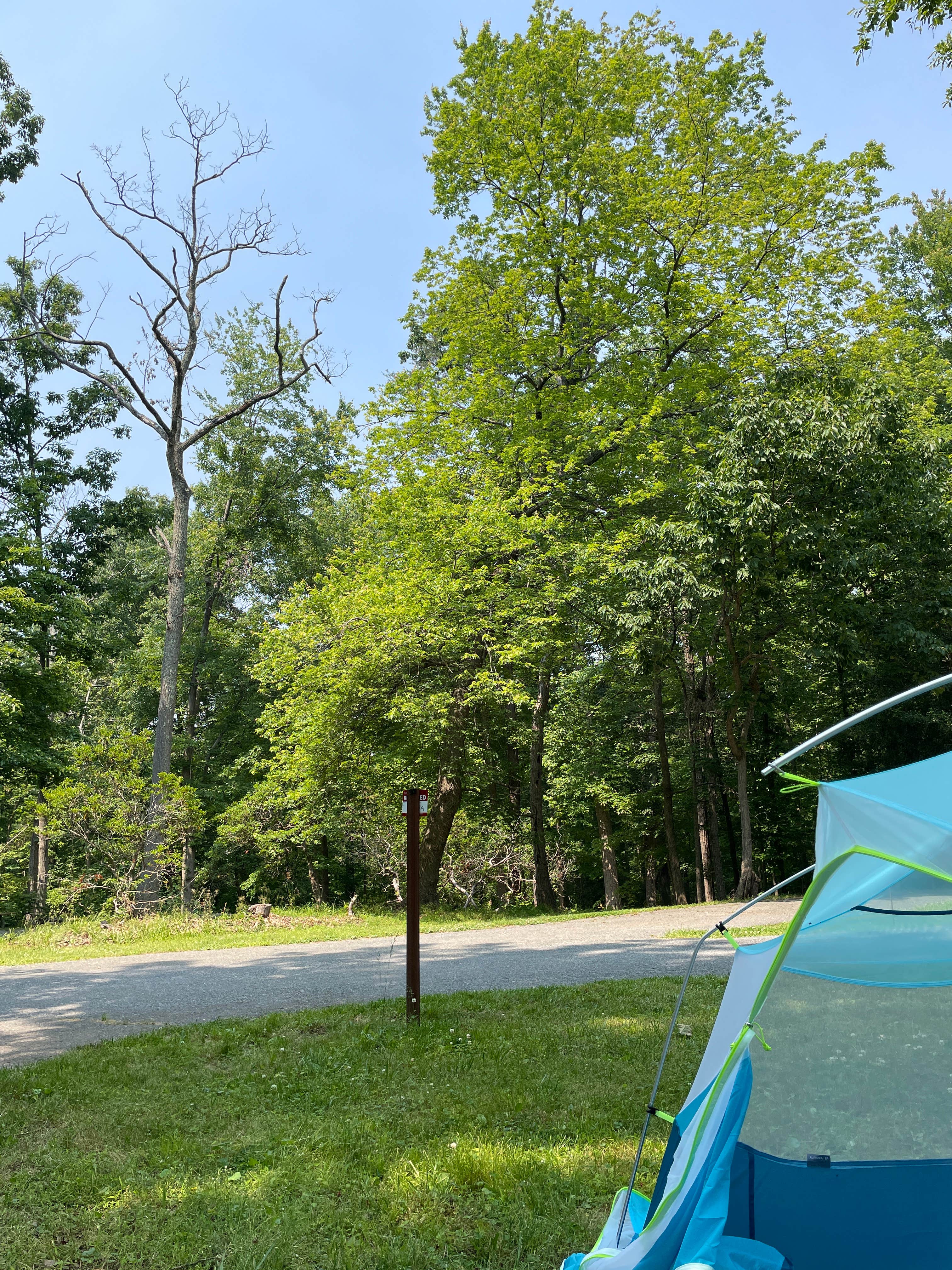 Cecilia D.'s photo at Greenbelt Park Campground — Greenbelt Park near Pasadena, MD