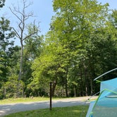 Review photo of Greenbelt Park Campground — Greenbelt Park by Cecilia D., June 2, 2023