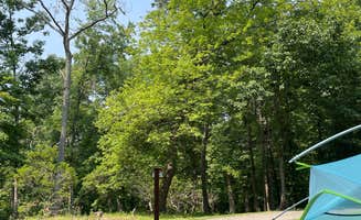 Cecilia D.'s photo at Greenbelt Park Campground — Greenbelt Park near Jessup, MD