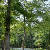 Review photo of Greenbelt Park Campground — Greenbelt Park by Cecilia D., June 2, 2023