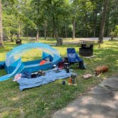 Review photo of Greenbelt Park Campground — Greenbelt Park by Cecilia D., June 2, 2023