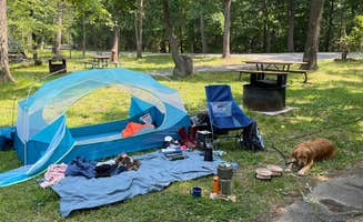 Cecilia D.'s photo of camping with pets at Greenbelt Park Campground — Greenbelt Park near Beltsville, MD