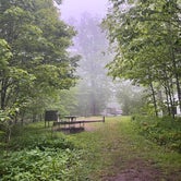 Review photo of Balsam Mountain Campground — Great Smoky Mountains National Park by Brady P., June 2, 2023