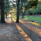 Review photo of Lexington Park Campground by Janet R., June 2, 2023