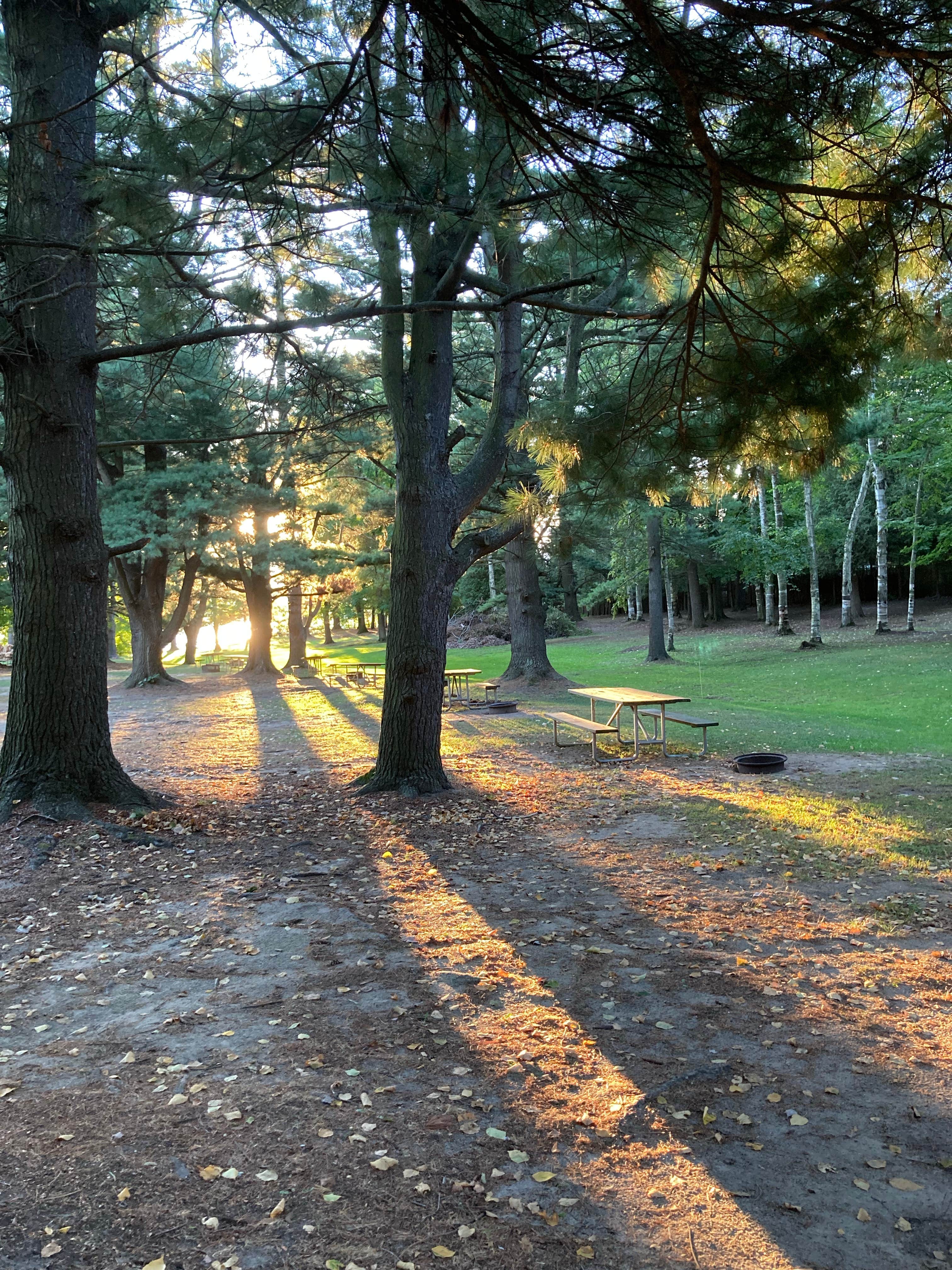 Camper submitted image from Lexington Park Campground - 2