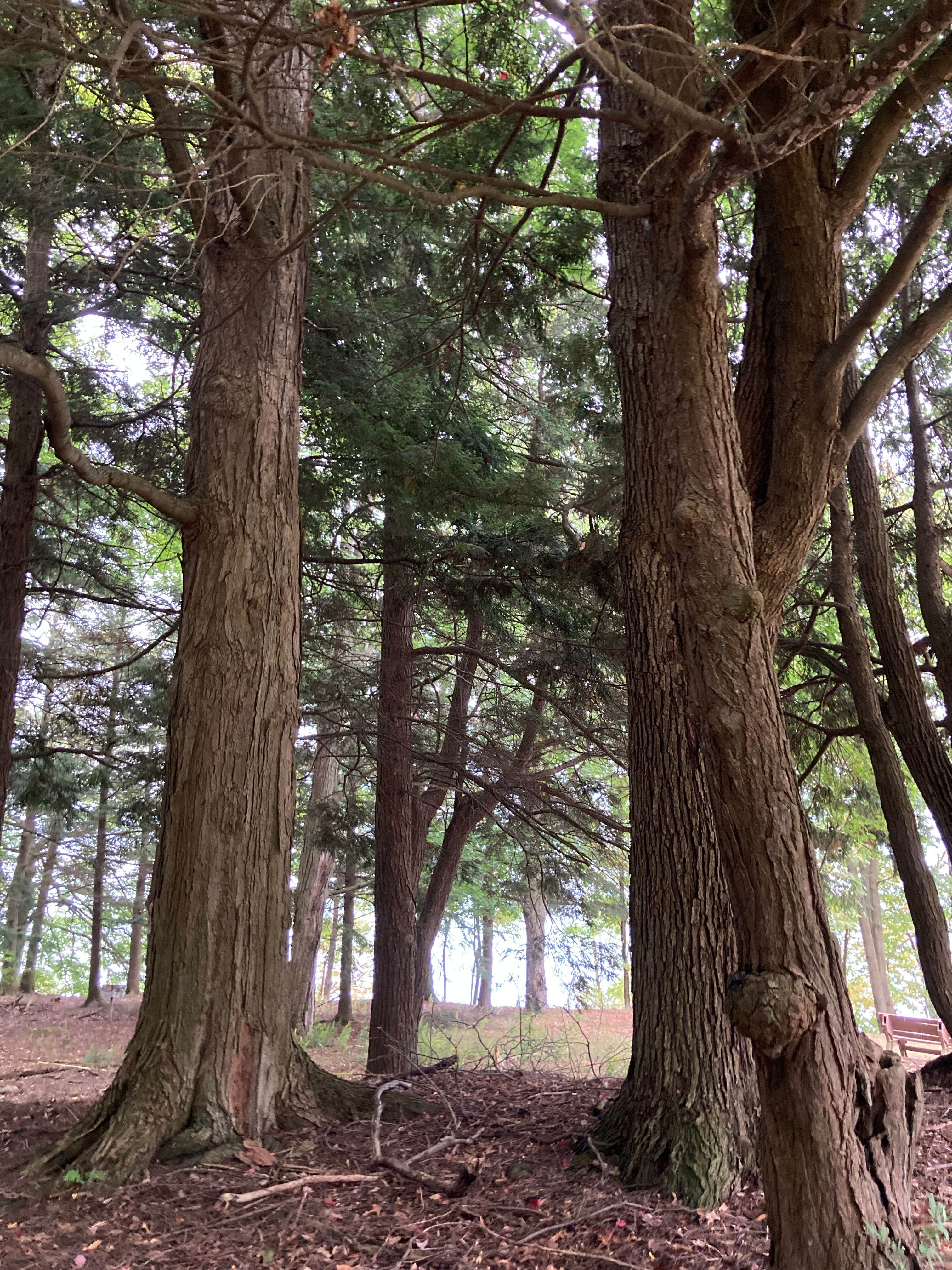 Camper-submitted photo at Lexington Park Campground near Avoca, MI
