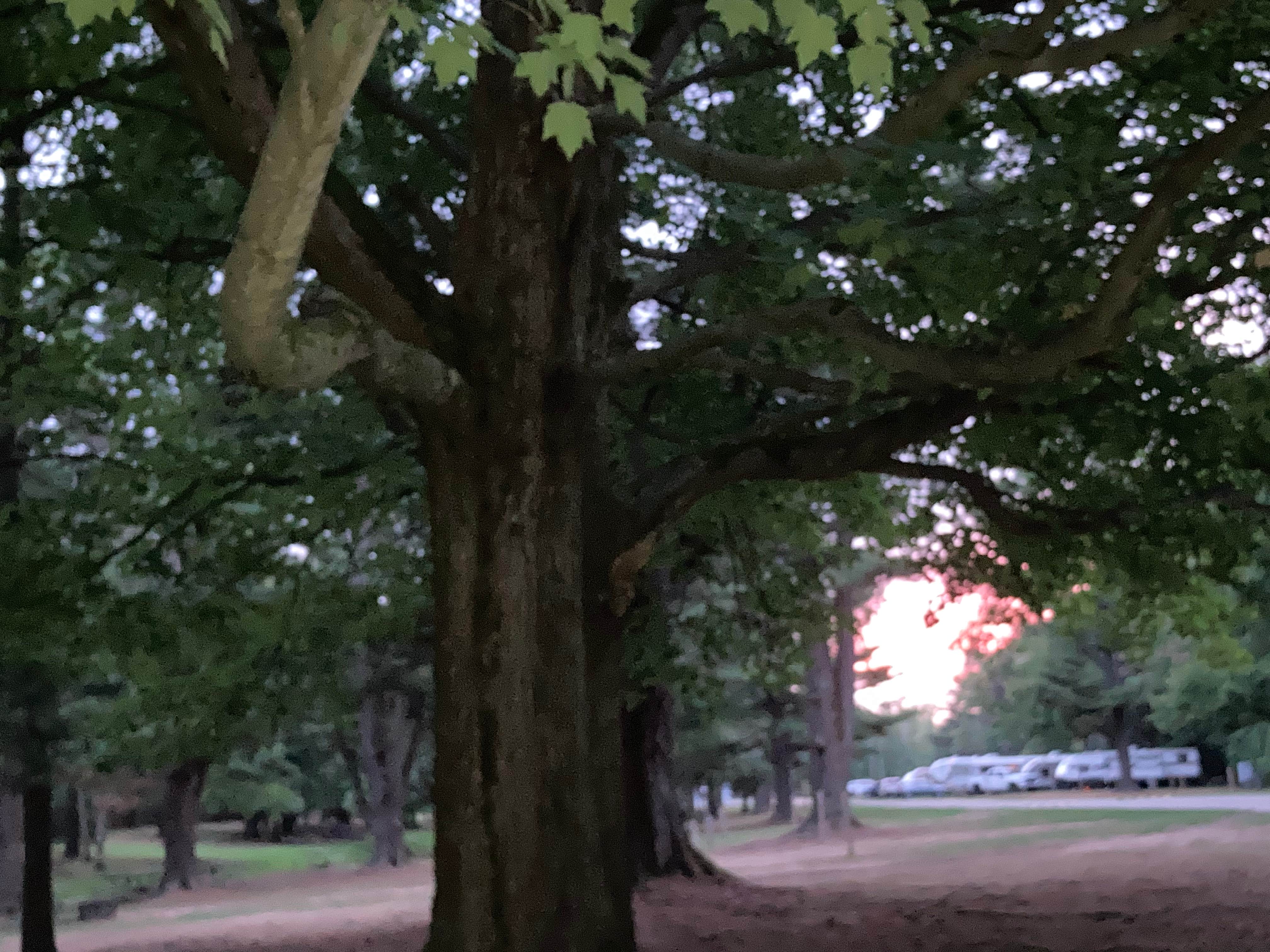 Camper-submitted photo at Lexington Park Campground near Avoca, MI
