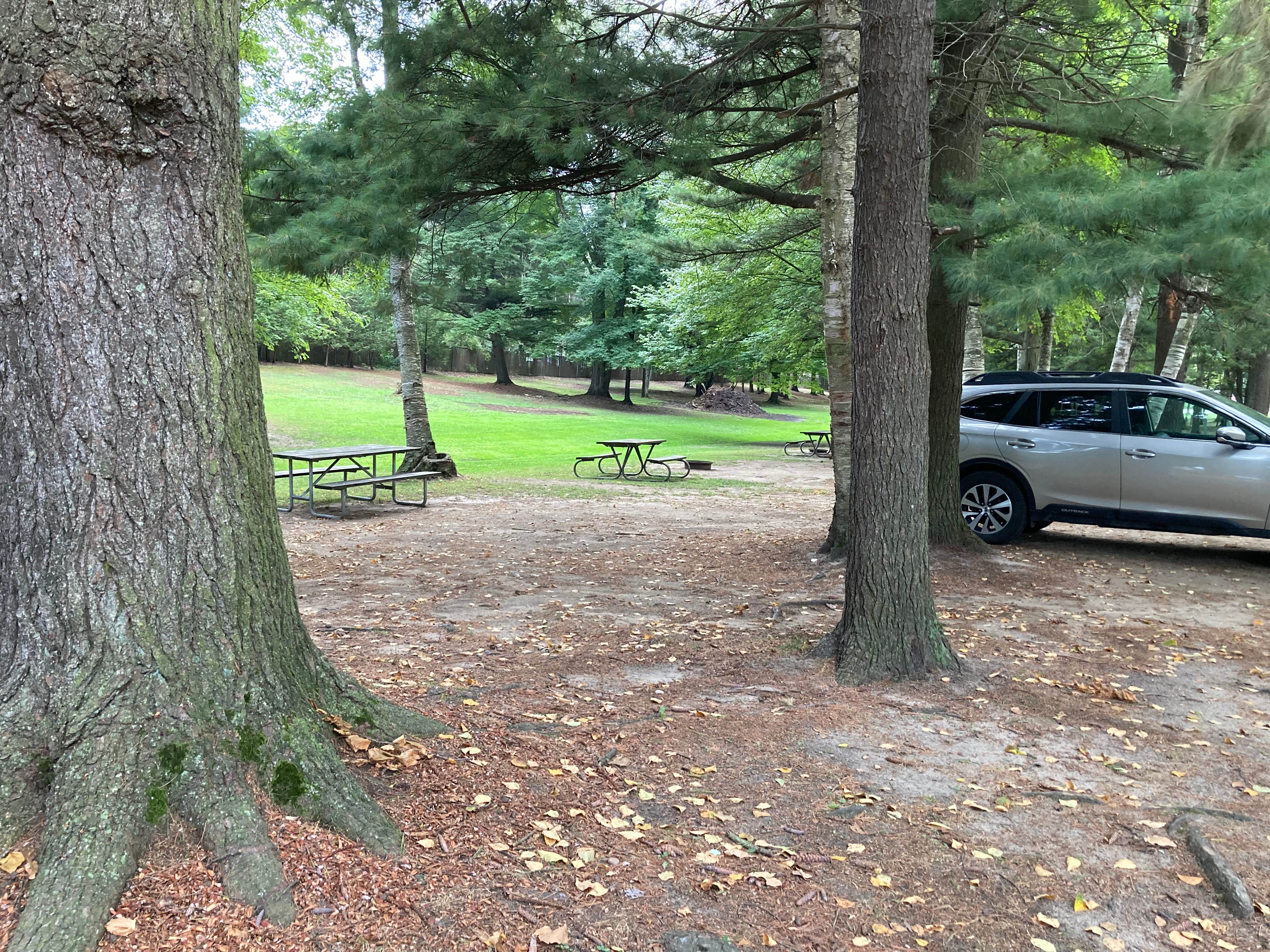 Camping near Lakeport State Park Campground: Lexington Park Campground, Sandusky, Michigan