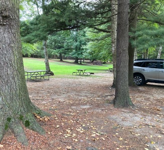 Camper-submitted photo from Lexington Park Campground