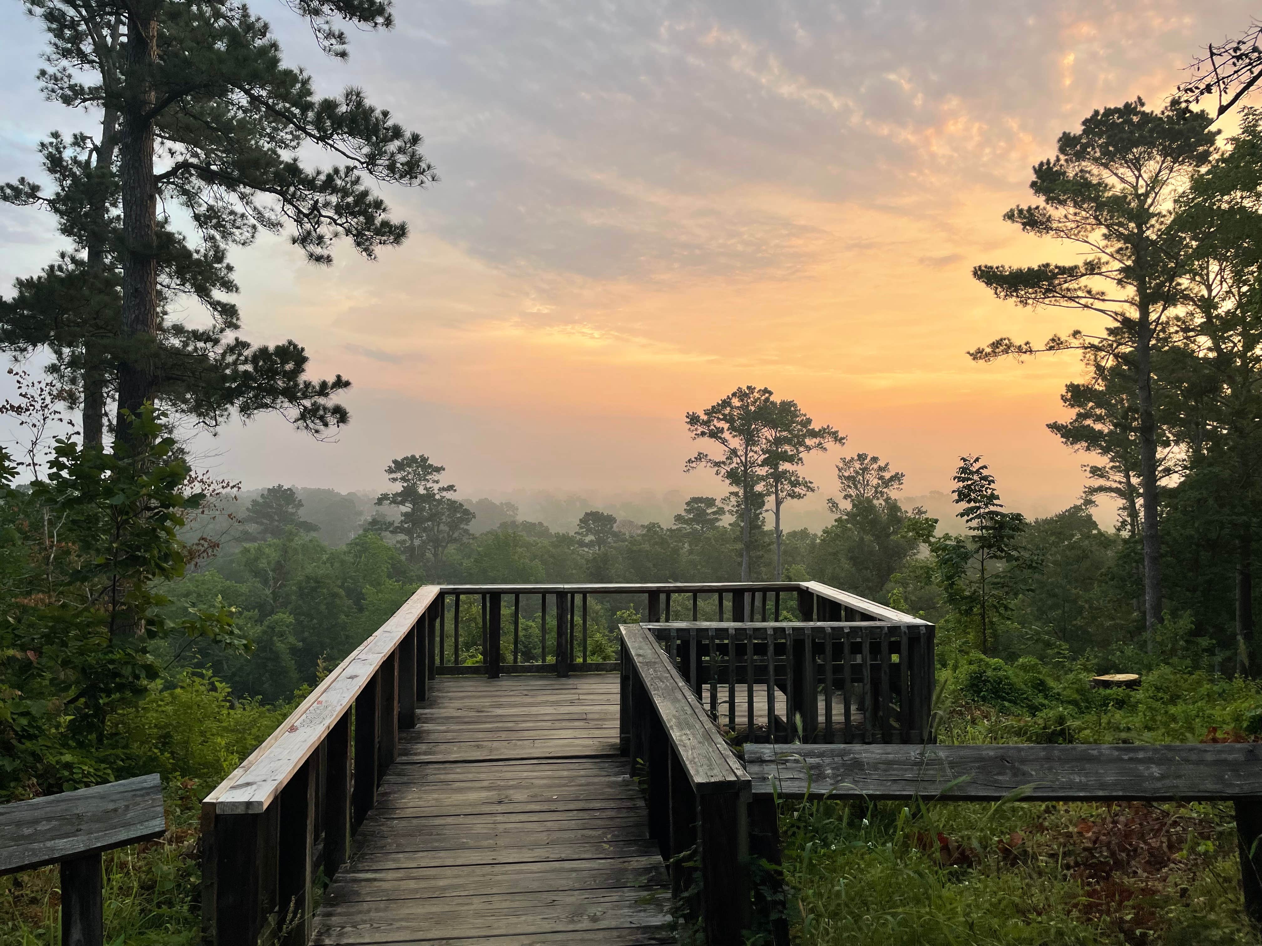 Camper submitted image from Neches Bluff Overlook Campground - 1