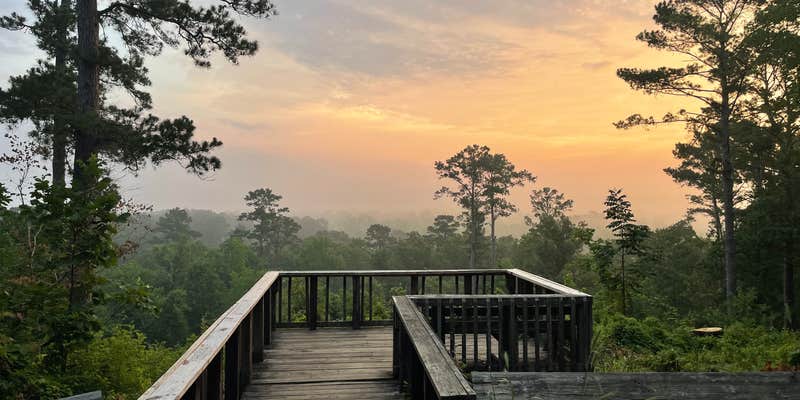 Camper submitted image from Neches Bluff Overlook Campground