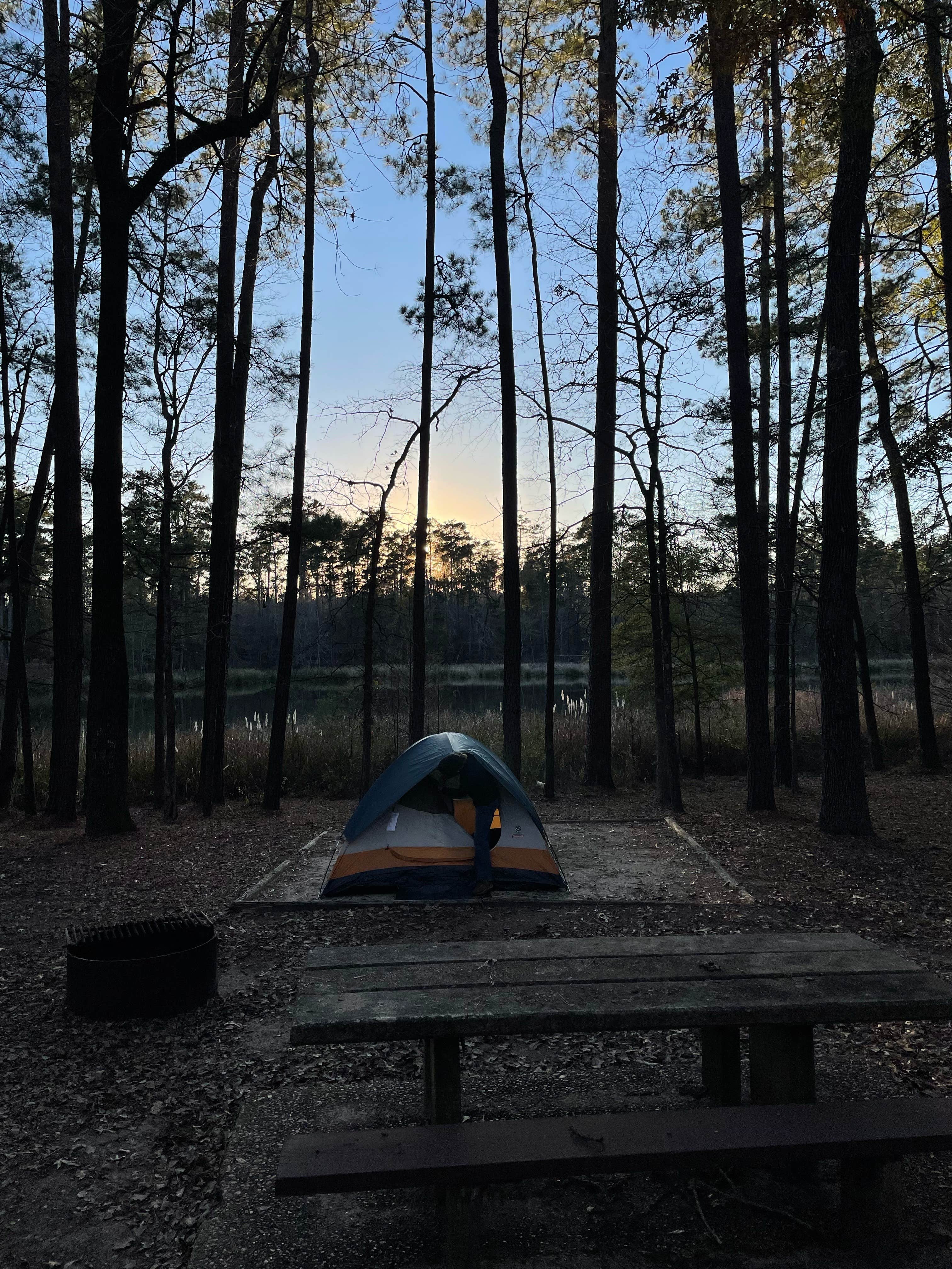 Rose M.'s photo at Ratcliff Lake Recreation Area near Grapeland, TX