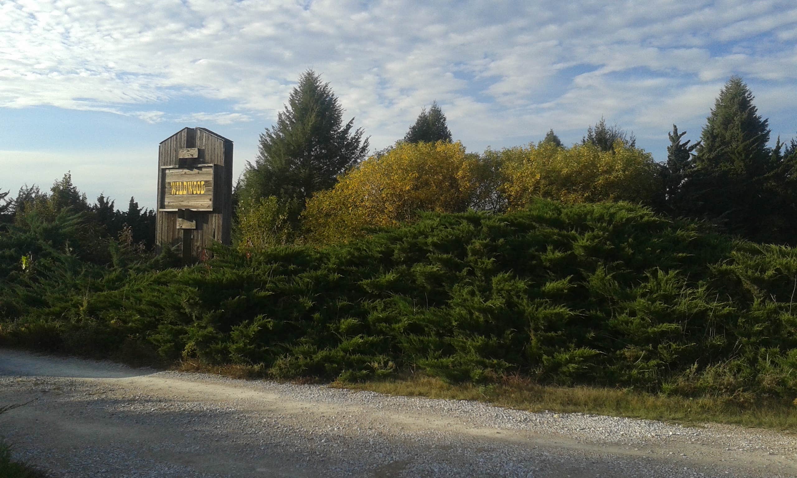 Camper submitted image from Wildwood Lake - 2